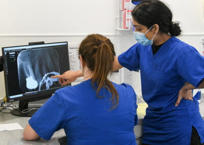 Student examining x-ray